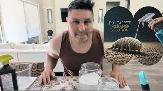 DIY CARPET CLEANER SOLUTIONHOMEMADE DISINFECTANT [upl. by Other]