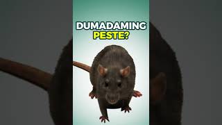 Pest Reject Pro  Dumadami [upl. by Krystin706]