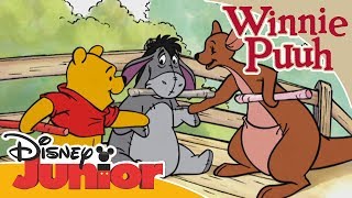 Freundschaftsgeschichten mit Winnie Puuh Das PuuhStöckchen Spiel  Disney Junior [upl. by Euqnom]