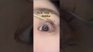 Kia Aap Ko Bhi Aisi Lashes Chahye shorts bestmakeuptransformations2024beautytipsforeverygirls [upl. by Chalmers591]