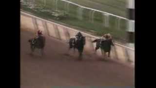 Coastal  1979 Belmont Stakes [upl. by Tsew]