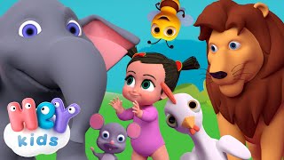 Tiergeräusche für Kinder  Tierlied  HeyKids Kinderlieder TV [upl. by Elmaleh77]