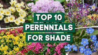 10 Beautiful Perennial Flowers for Shady Gardens 👌🌿💚  PlantDo Home amp Garden [upl. by Changaris]