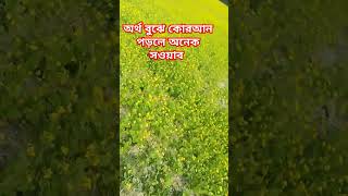 অর্থ বুঝে কোরআন পড়লে অনেক সাওয়াব। shortsfortnite youtube mizanurrahmanazhari [upl. by Wehttan]