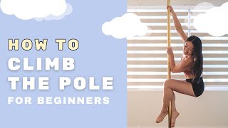 HOW TO CLIMB THE POLE TUTORIAL  Pole Dancing for Beginners  Pole Dance Basic and Forearm Climbs [upl. by Erna467]