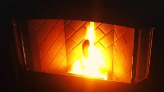 Enviro Meridian Pellet Fireplace Insert Burn Video [upl. by Olegnalehcim]