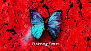 Ed Sheeran  Visiting Hours Official Lyric Video [upl. by Janith209]