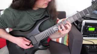 Protest The Hero  Sequoia Throne Guitar Cover [upl. by Dannie20]