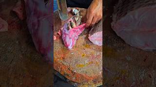 fish stomach cutting trending fishcutting viralvideo food seafood shots shorts fishing [upl. by Enelyahs]