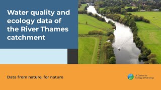 Thames Initiative Data Guide [upl. by Goodson]