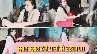 सुबह सुबह ठंडे पानी से नहलाया।hardwork funny milking comedy milkingbuffalo milkingvlog [upl. by Cacie]