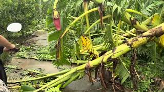 Typhoon Yagi in Hanoi Vietnam [upl. by Sorrows697]