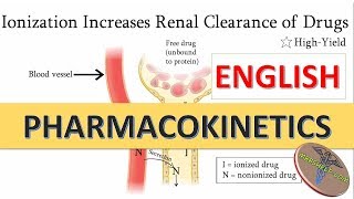 Pharmacokinetics  Permeability amp Ionization with clinical correlation in English [upl. by Ahsieni249]