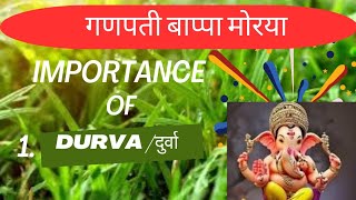 Ayurvedic Importance of Durva [upl. by Nilram]