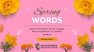 Ziigwan Spring Words  Learning Anishinaabemowin [upl. by Adyht501]