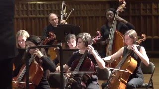 BrandeisWellesley Orchestra [upl. by Darton300]