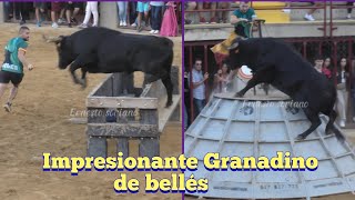 Oropesa del mar  Épica la actuacion de Granadino hnos Bellés  Guillamon vs Bellés 🔝 [upl. by Lodi528]