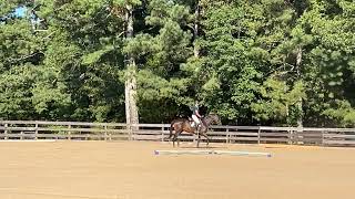 Virtual Equine Events cavaletti challenge 1 circle trot exercise 1 [upl. by Jeromy281]