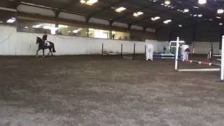 1st Showjumping class 65cm [upl. by Sirraj639]