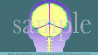 Intracranial Membrane System CSR Motion by Tad Wanveer [upl. by Fine313]