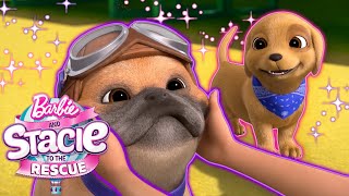 PUPPY BFFs Rookie meets Zeus  Netflix Movie Clip  Barbie And Stacie To The Rescue [upl. by Ronile779]