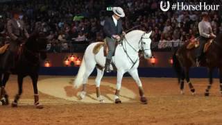 Portuguese Lusitanos at Olympia Horse Show [upl. by Kev173]