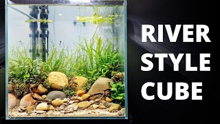 Easy Riverbed Style Aquascape Step by Step Tutorial  Low Tech Shrimp Tank [upl. by Maury]