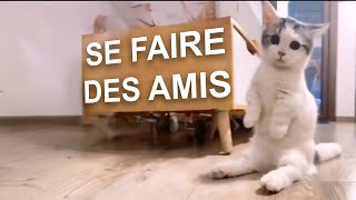 CONSEILS POUR SE FAIRE DES AMIS [upl. by Ynatirb]