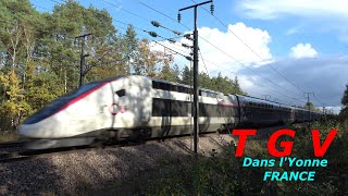 TGV  YONNE  CHEU  FRANCE 300KMH [upl. by Jamieson]