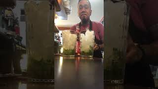 BEER MOJITO NON ALCOHOLIC DRINKS  COLBERG MOJITO 0 ALCOHOL [upl. by Zerat985]