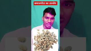 जमालगोटा का उपयोग कैसे करेंjamalgota use in hindishort video Mohit sir [upl. by Efar]