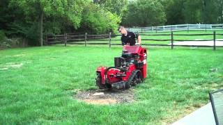 One Stop Rental Using A Stump Grinder [upl. by Mukul761]