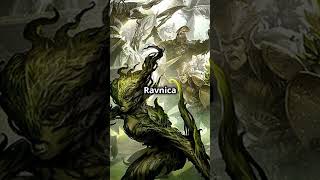 Discover the Power of the Selesnya Conclave in Ravnica [upl. by Nerra]