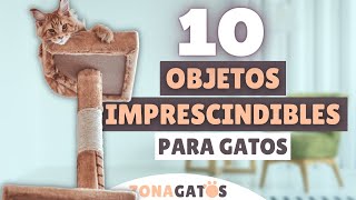 Qué NECESITA un gato 10 objetos IMPRESCINDIBLES ✔️ [upl. by Llehcor]