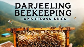 Apis Serana Indica  Darjeeling Beekeeping [upl. by Andra431]