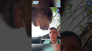 YouTubers Terrifying Close Call Inside a Bears Cave 😱 [upl. by Anthiathia615]