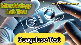 Microbiology Coagulase Test Song  Microbiology Lab  Mlt amp medical knowledge 🦠🧫 [upl. by Cerelly]