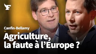 Colère des agriculteurs  débat entre FrançoisXavier Bellamy et Pascal Canfin [upl. by Halyhs]