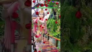 Jay shree Krishna Radhe Radhe short videoviralcut❤️🙏🙏🙏 [upl. by Lissner]