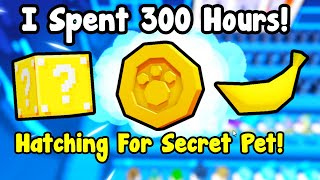 I Spent 300 Hours Hatching For Secret Pet  Pet Simulator 99 Roblox [upl. by Mulford525]