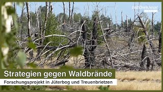 Strategien gegen Waldbrände  Forschungsprojekt in Jüterbog und Treuenbrietzen [upl. by Koren762]