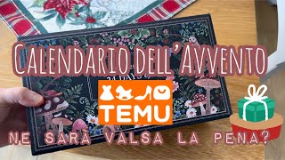 🥨CALENDARIO DELL’AVVENTO DI TEMU Forse ho preteso troppo Delusa🫤 [upl. by Loydie]