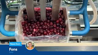 NIVERPLAST  CHERRYSEAL  HIGH SPEED ADAPTIVE SEALING BOXES OF CHERRIES [upl. by Laekim]