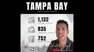 Tampa Bay Market Update  Aug 12 [upl. by Channa94]