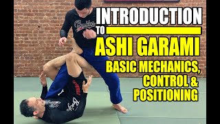 Ashi Garami 101 Basic Mechanics and Drills for Leglocks No Gi JiuJitsu [upl. by Eitsyrc774]