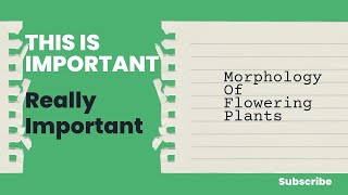 MORPHOLOGY OF FLOWERING PLANTS [upl. by Dnomar806]