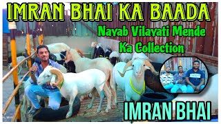 Nayab Vilayati Mende Collection at IMRAN BHAI KABAADAin KalyanyoutubevideosviralvideoAsimShaikh [upl. by Yhtur199]