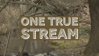 quotOne True Streamquot  OTK Film Festival Submission [upl. by Yordan]