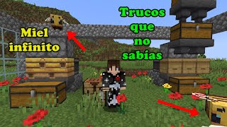 Como hacer Granja de Miel Automatica Minecraft e Apiario Infinitos [upl. by Petie729]