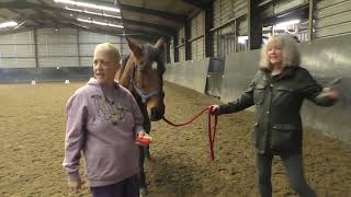 Equine Therapy 20231201 Friday video 1 [upl. by Tyra]